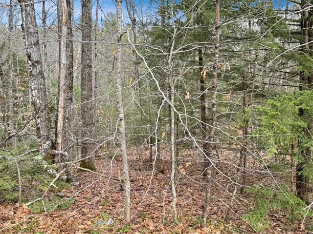 78 Hopper Road Milton, NH 03852 - Photo 2 of 9