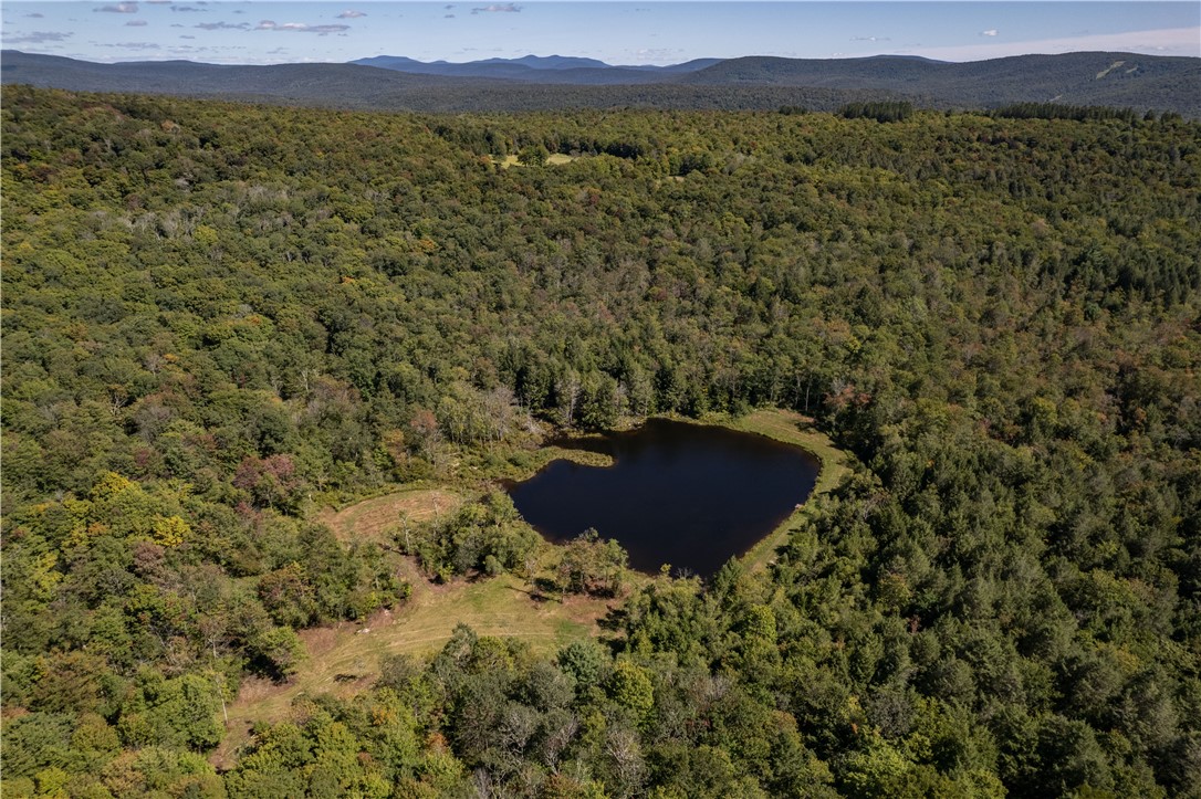 Terwilliger Road Livingston Manor, NY 12758 - Photo 2 of 10 Gallery Image 2