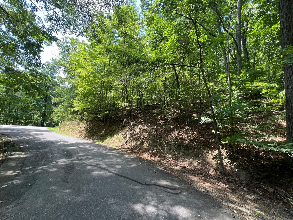 Lot 32 Mission Ridge Hayesville, NC 28904 - Photo 6 of 11