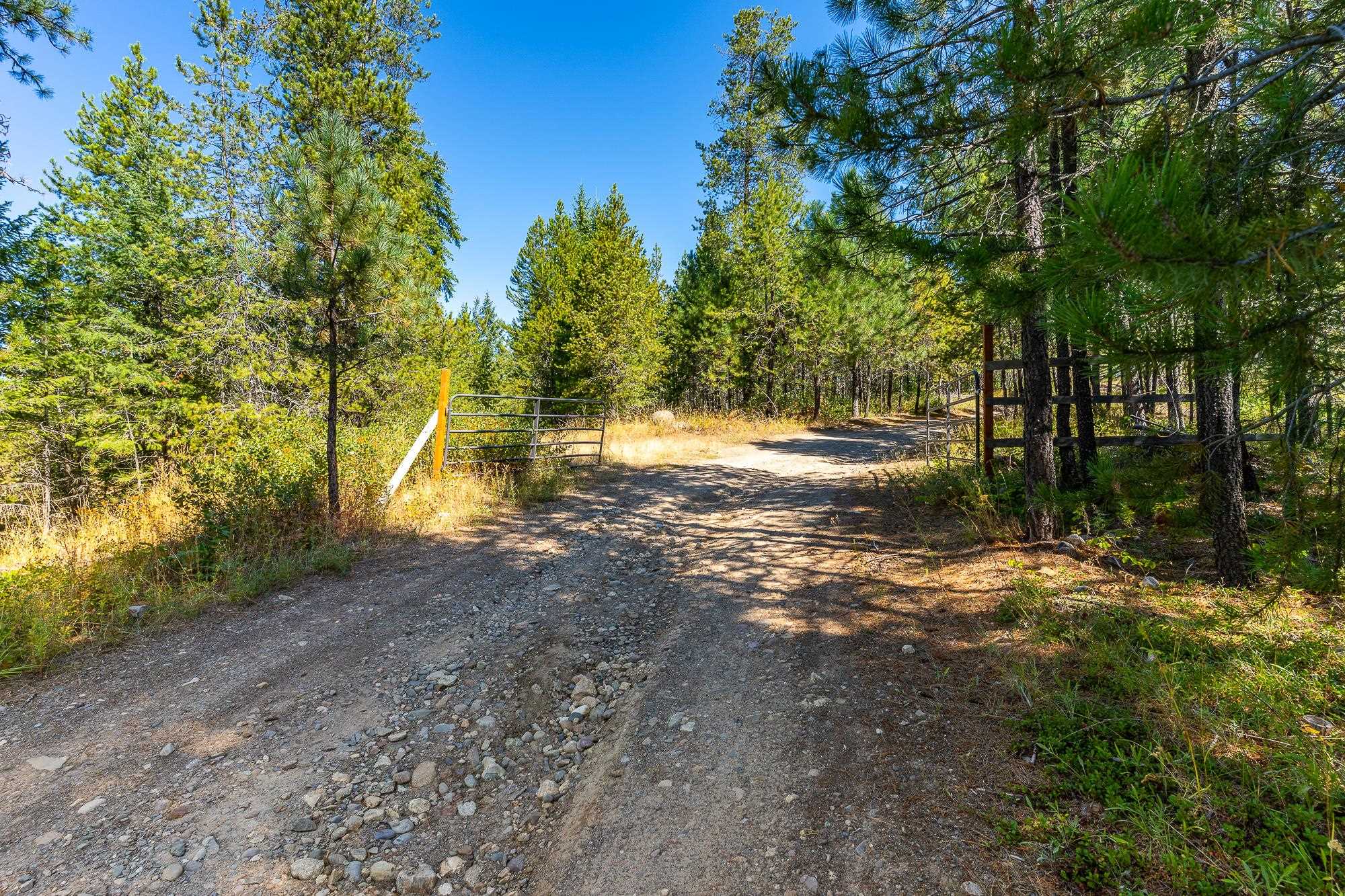 1101 Scotia Road Newport, WA 99156 - Photo 5 of 14