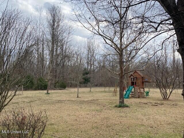 1751 Bell Road Courtland, MS 38620 - Photo 29 of 56 Middle yard