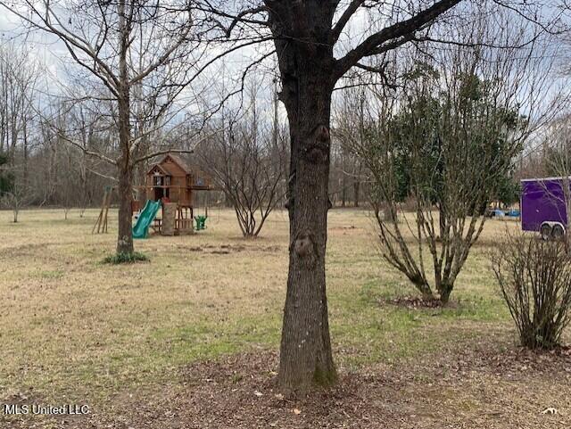 1751 Bell Road Courtland, MS 38620 - Photo 46 of 51 Middle yard