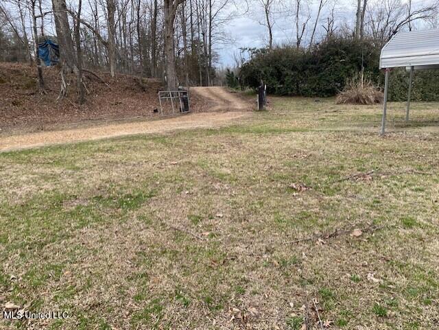 1751 Bell Road Courtland, MS 38620 - Photo 47 of 51 Driveway