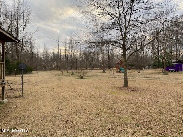 1751 Bell Road Courtland, MS 38620 - Photo 51 of 51 yard