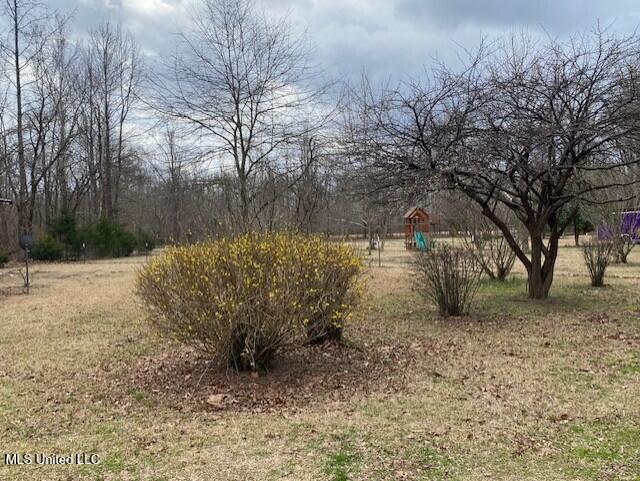 1751 Bell Road Courtland, MS 38620 - Photo 52 of 56 yard