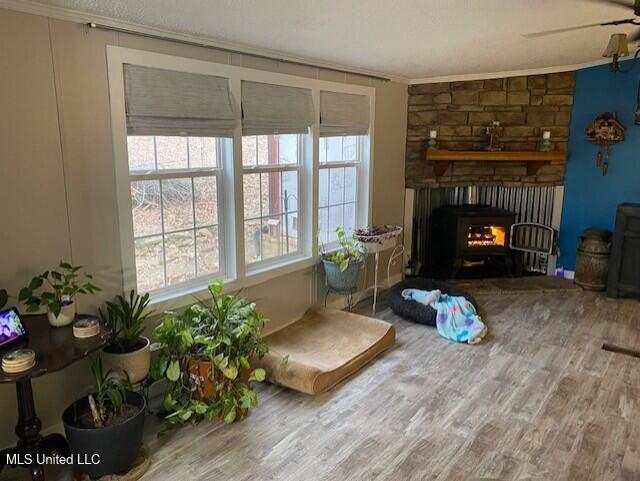 1751 Bell Road Courtland, MS 38620 - Photo 8 of 51 Living Room