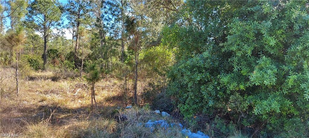 a view of a yard with a tree