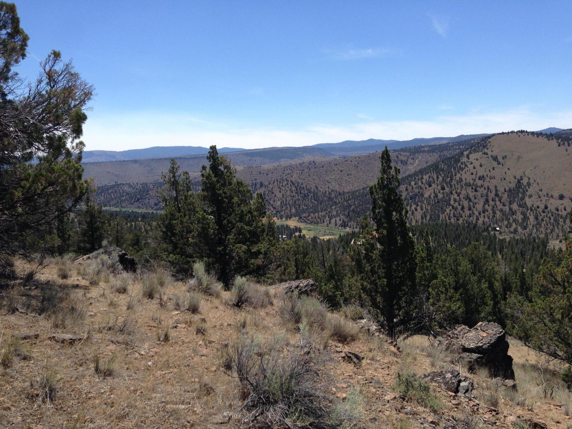 Riverside Ranch, Unit 69 Prineville, OR 97754 - Photo 4 of 17 IMG_1239
