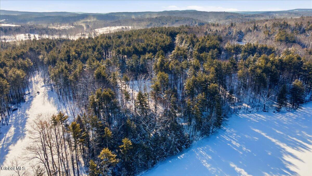 41 Totem Lodge Road Averill Park, NY 12018 - Photo 11 of 13 09-DJI_0752