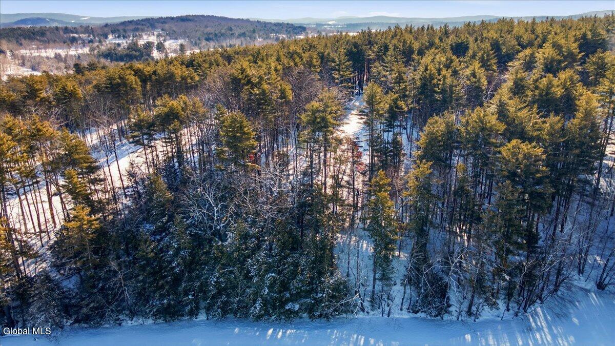 41 Totem Lodge Road Averill Park, NY 12018 - Photo 12 of 13 10-DJI_0757
