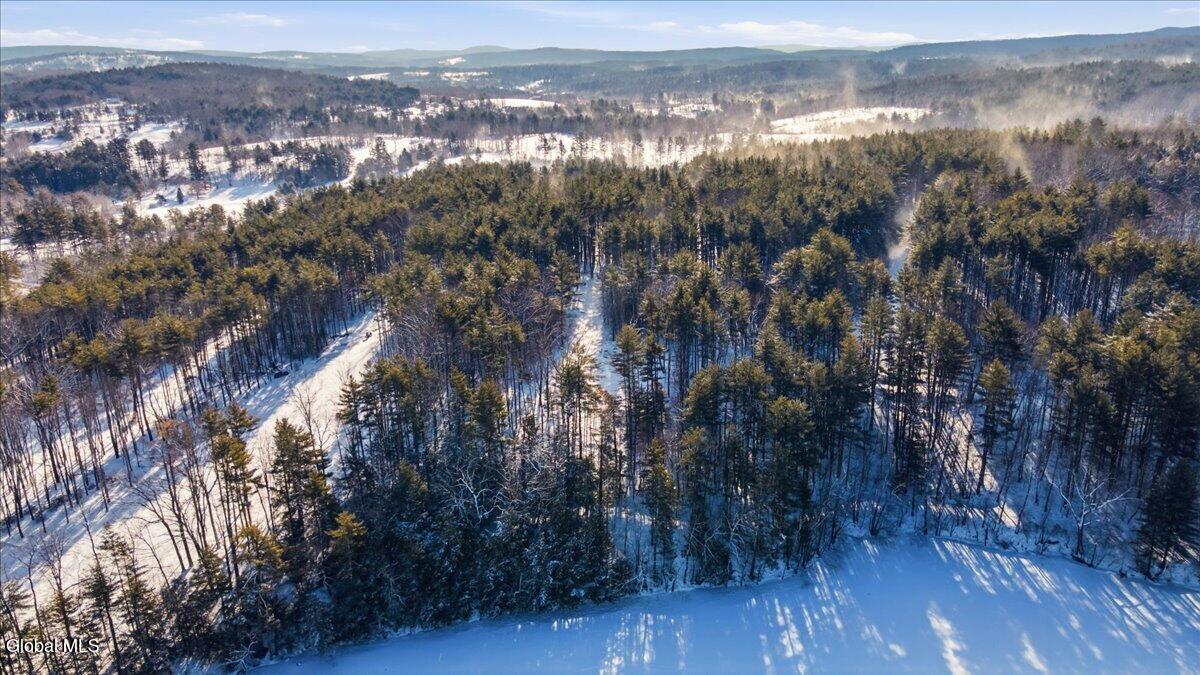 41 Totem Lodge Road Averill Park, NY 12018 - Photo 9 of 13 07-DJI_0740