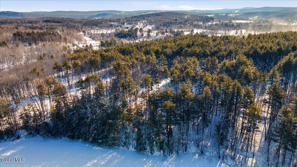 41 Totem Lodge Road Averill Park, NY 12018 - Photo 10 of 13 08-DJI_0746