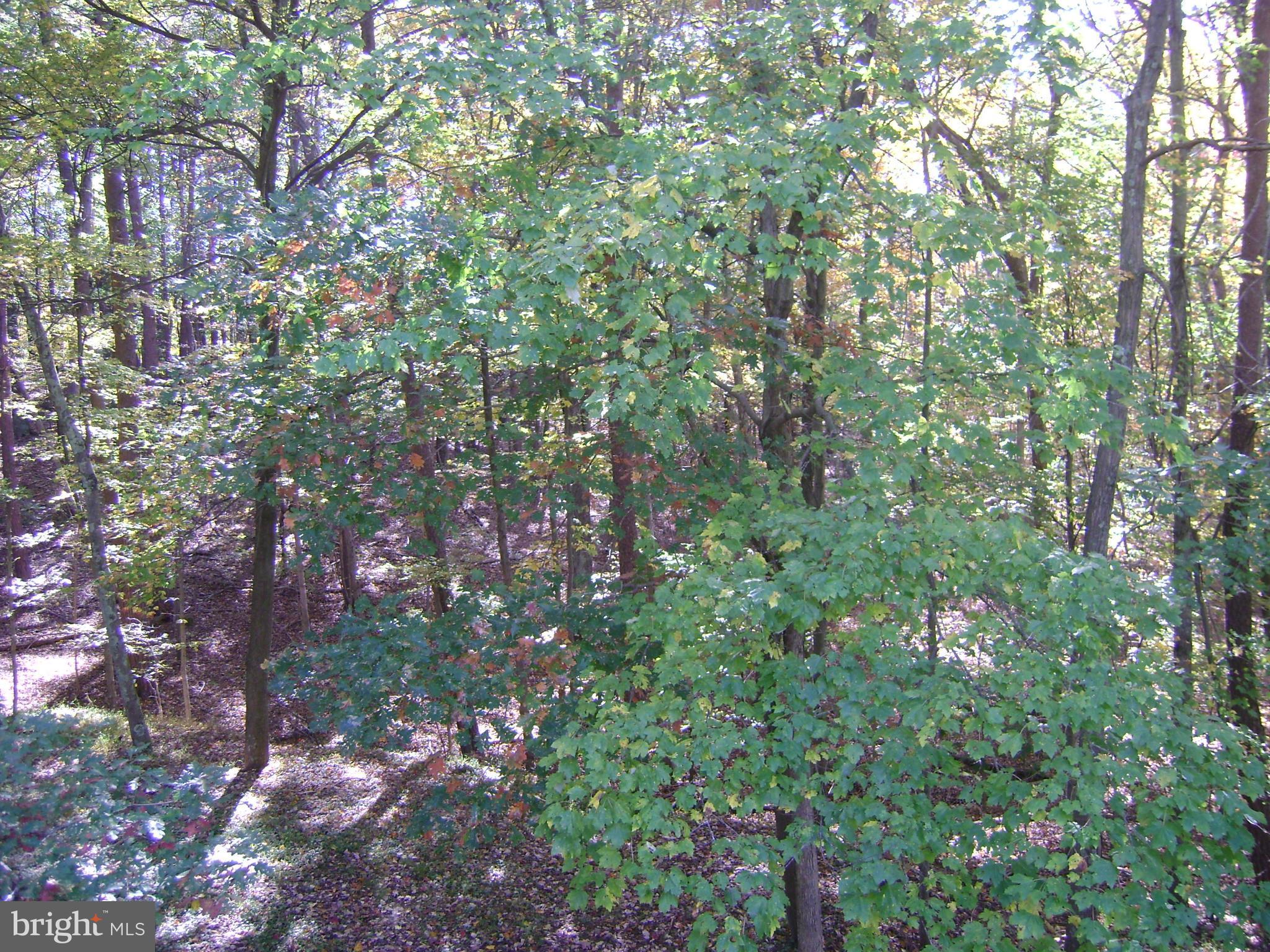 511 Three Creeks Road Winchester, VA 22603 - Photo 20 of 27 View