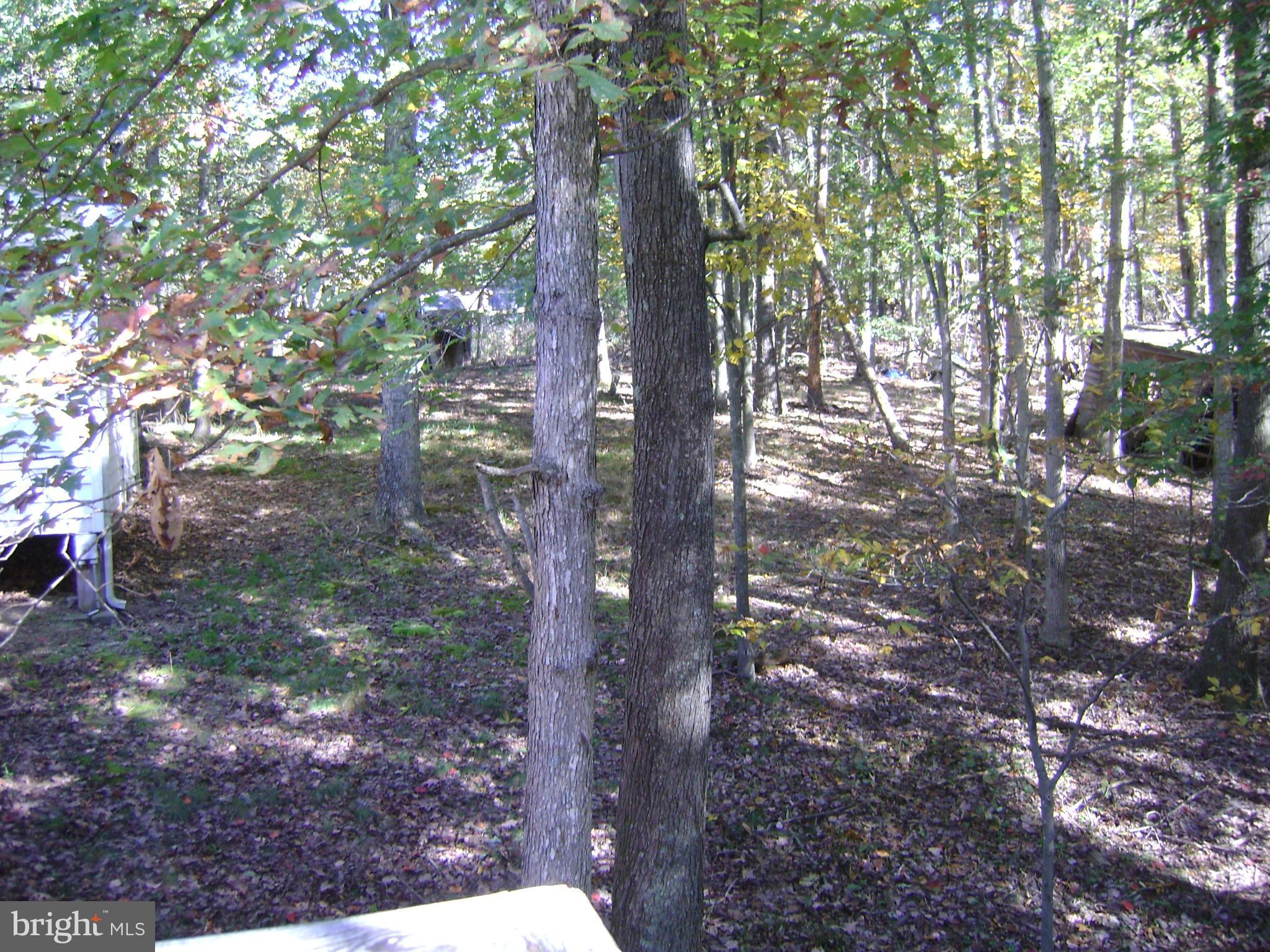 511 Three Creeks Road Winchester, VA 22603 - Photo 22 of 27 View
