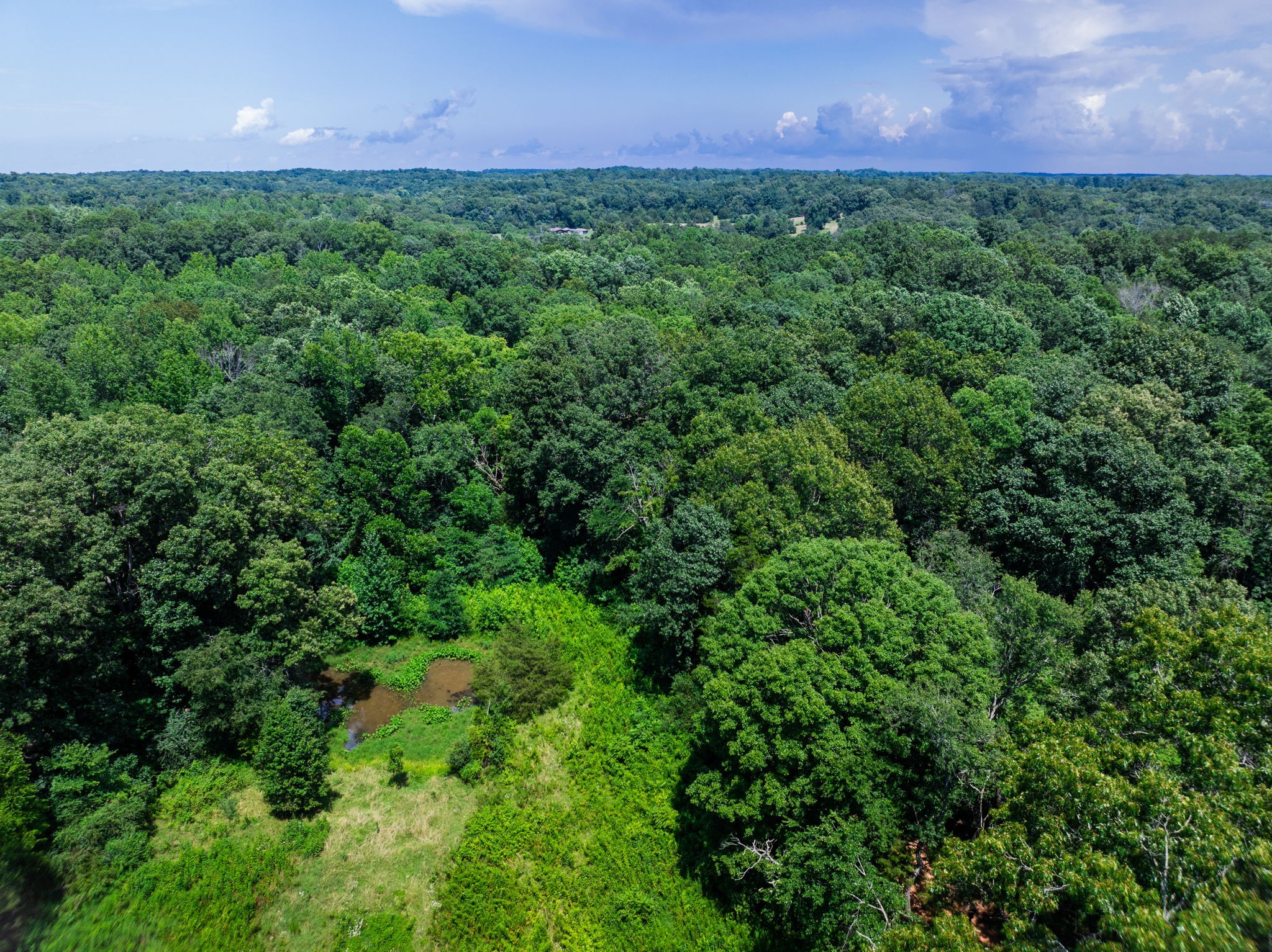0 Barren Fork Bridge Road Bon Aqua, TN 37025 - Photo 6 of 28