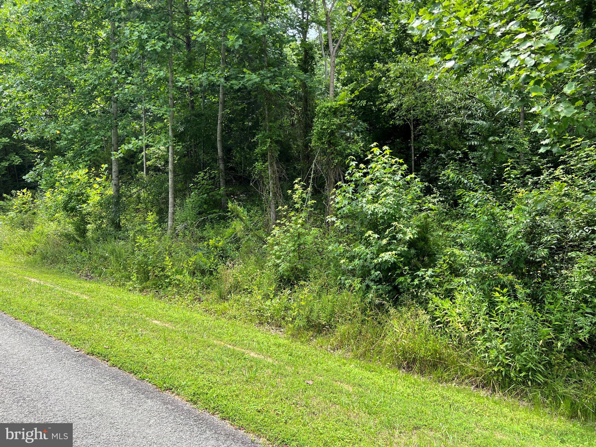 Highlander Path Mineral, VA 23117 - Photo 3 of 9 a view of a lush green forest