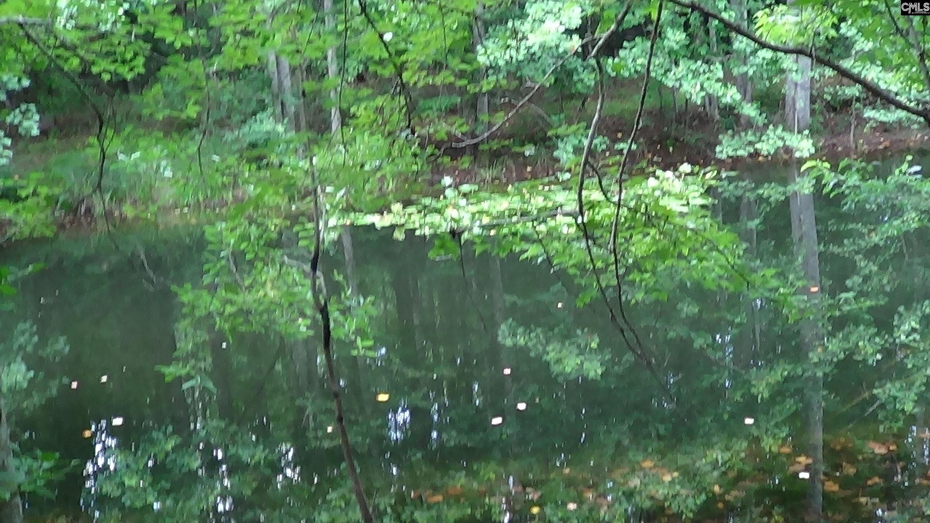 2815 Highway 1 Elgin, SC 29045 - Photo 15 of 17