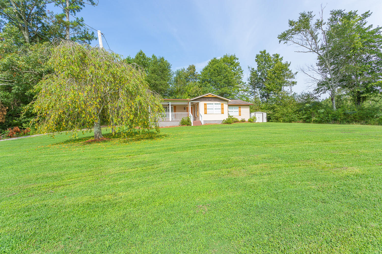 2937 Reed Road Dalton, GA 30720 - Photo 3 of 35 2937 Reed Road HD -5