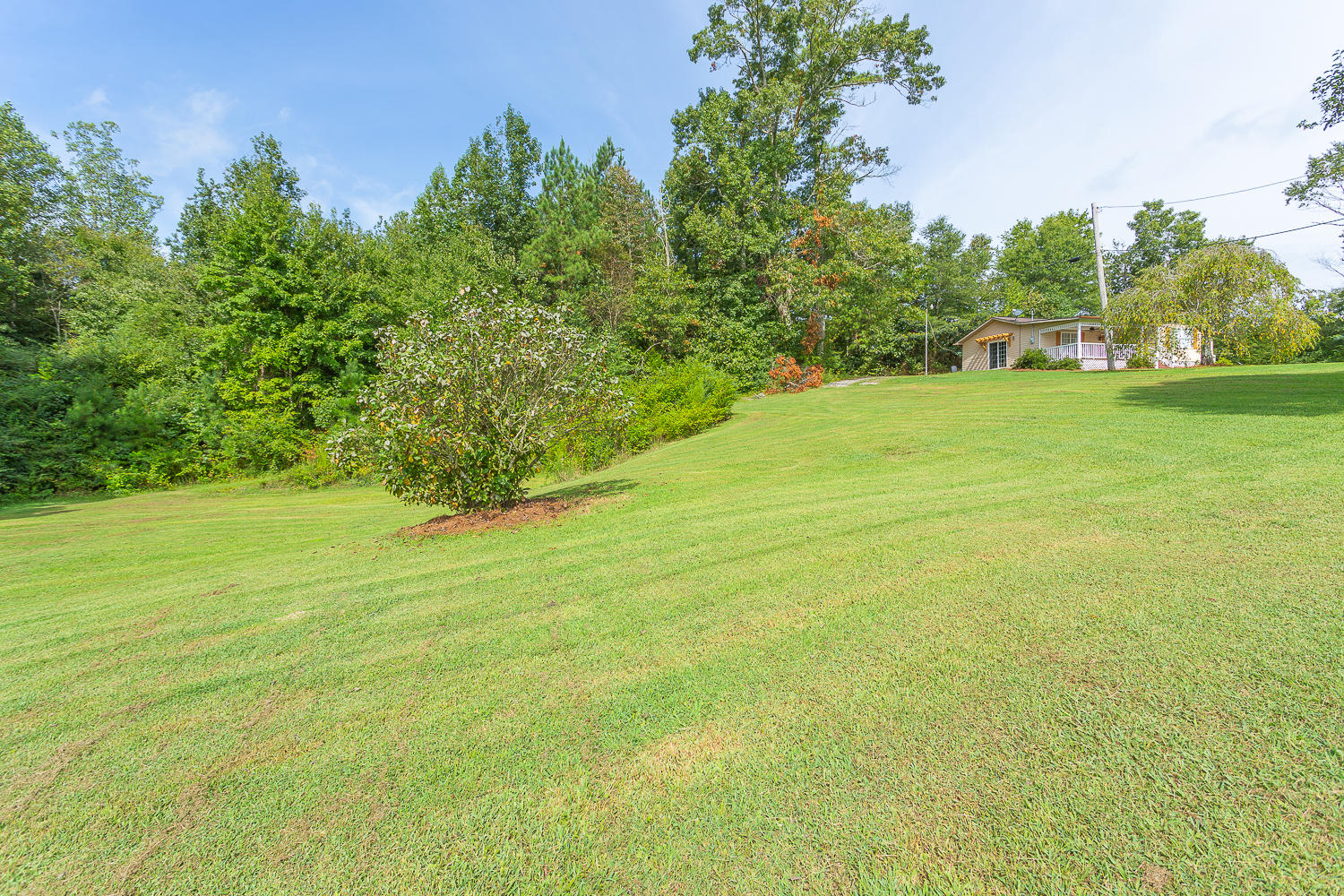 2937 Reed Road Dalton, GA 30720 - Photo 8 of 35 2937 Reed Road HD -3