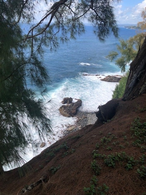 79 Loa Road, Unit 79 Pepeekeo, HI 96783 - Photo 2 of 8 a view of a yard with wooden fence