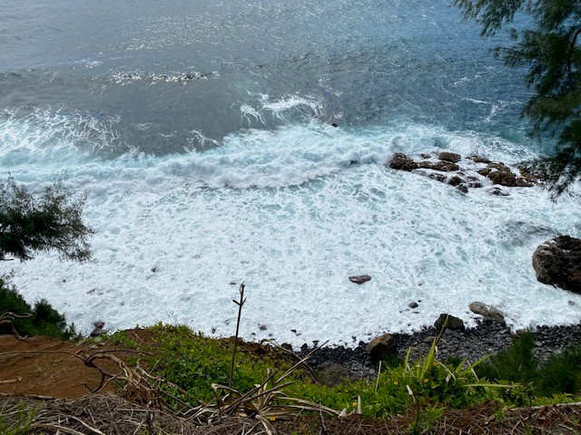 79 Loa Road, Unit 79 Pepeekeo, HI 96783 - Photo 3 of 8 a view of outside space view
