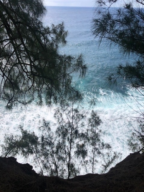 79 Loa Road, Unit 79 Pepeekeo, HI 96783 - Photo 4 of 8 a view of a yard with lots of green space