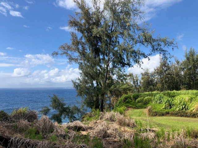 79 Loa Road, Unit 79 Pepeekeo, HI 96783 - Photo 5 of 8 a view of a lake with a yard