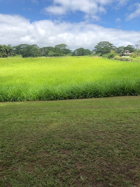 79 Loa Road, Unit 79 Pepeekeo, HI 96783 - Photo 7 of 8 a view of an ocean from a yard