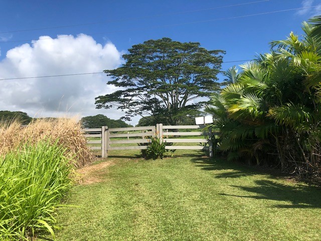 79 Loa Road, Unit 79 Pepeekeo, HI 96783 - Photo 8 of 8 a view of a garden