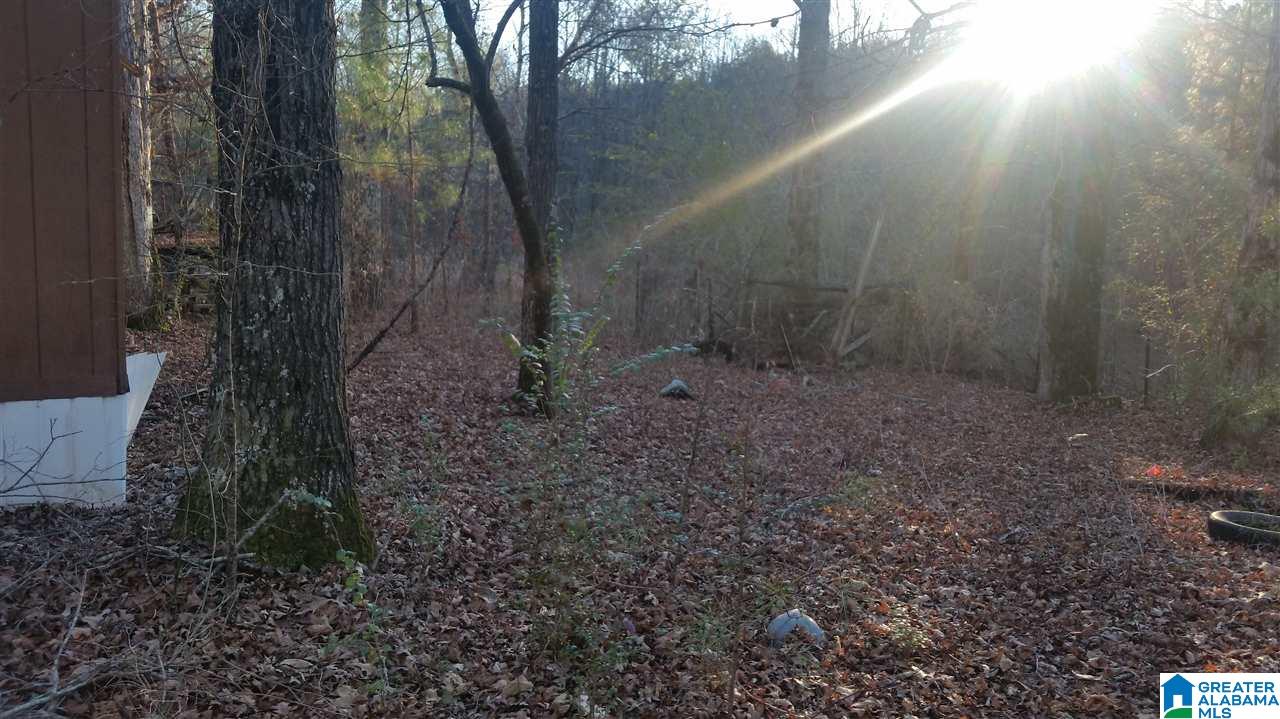 2244 Morris Majestic Road, Unit LOT 5 Morris, AL 35116 - Photo 6 of 10