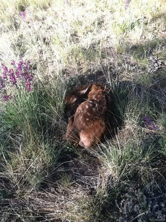 $885,000 | 357 County Road 64, Shawnee, CO 80475