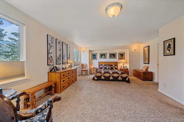 a bedroom with furniture and a window