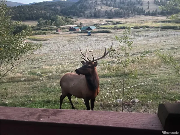 $885,000 | 357 County Road 64, Shawnee, CO 80475