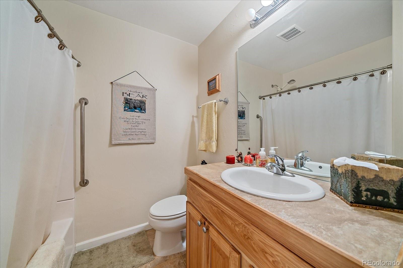 357 County Road 64 Shawnee, CO 80475 - Photo 22 of 50 a bathroom with a sink toilet and a mirror