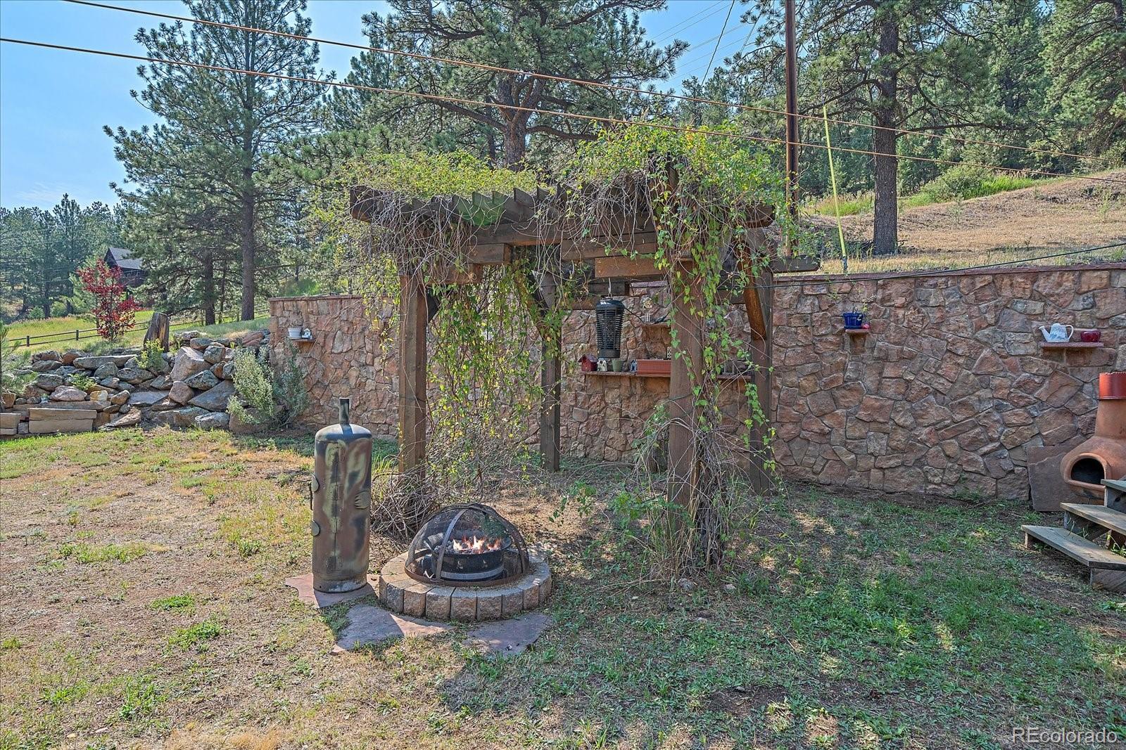 357 County Road 64 Shawnee, CO 80475 - Photo 27 of 50 a view of a backyard with plants and a fountain