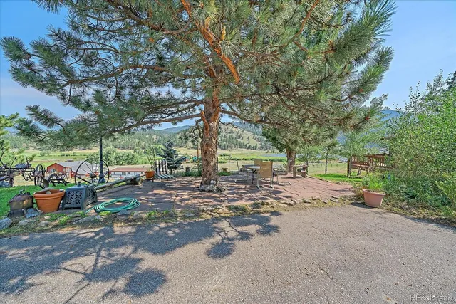 a view of a park with large trees