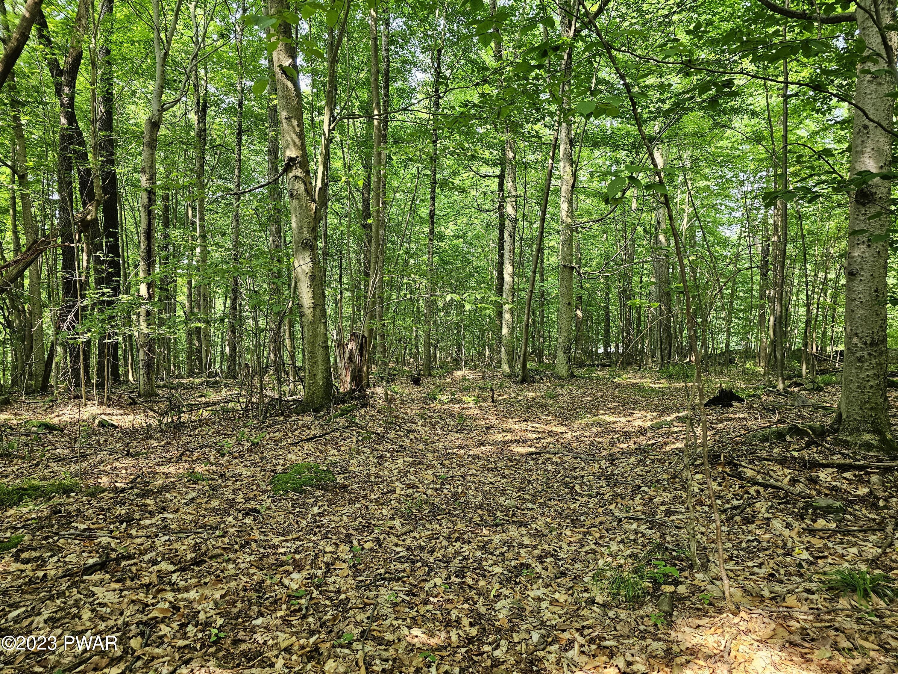 Lot 61 Rock Run Road Damascus, PA 18415 - Photo 6 of 56