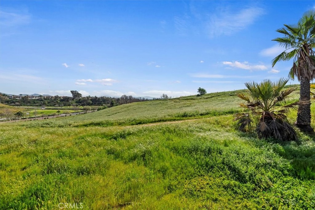 982 Big Spring Court Corona, CA 92878 - Photo 64 of 73