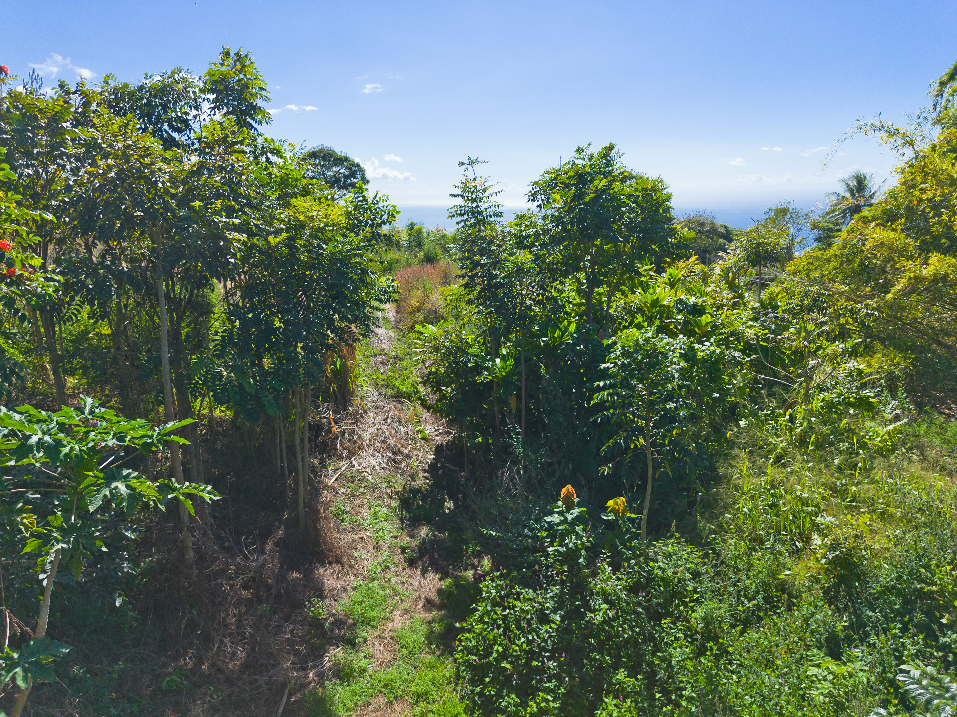 82-1088 Lot A Koa Road Captain Cook, HI 96704 - Photo 16 of 30