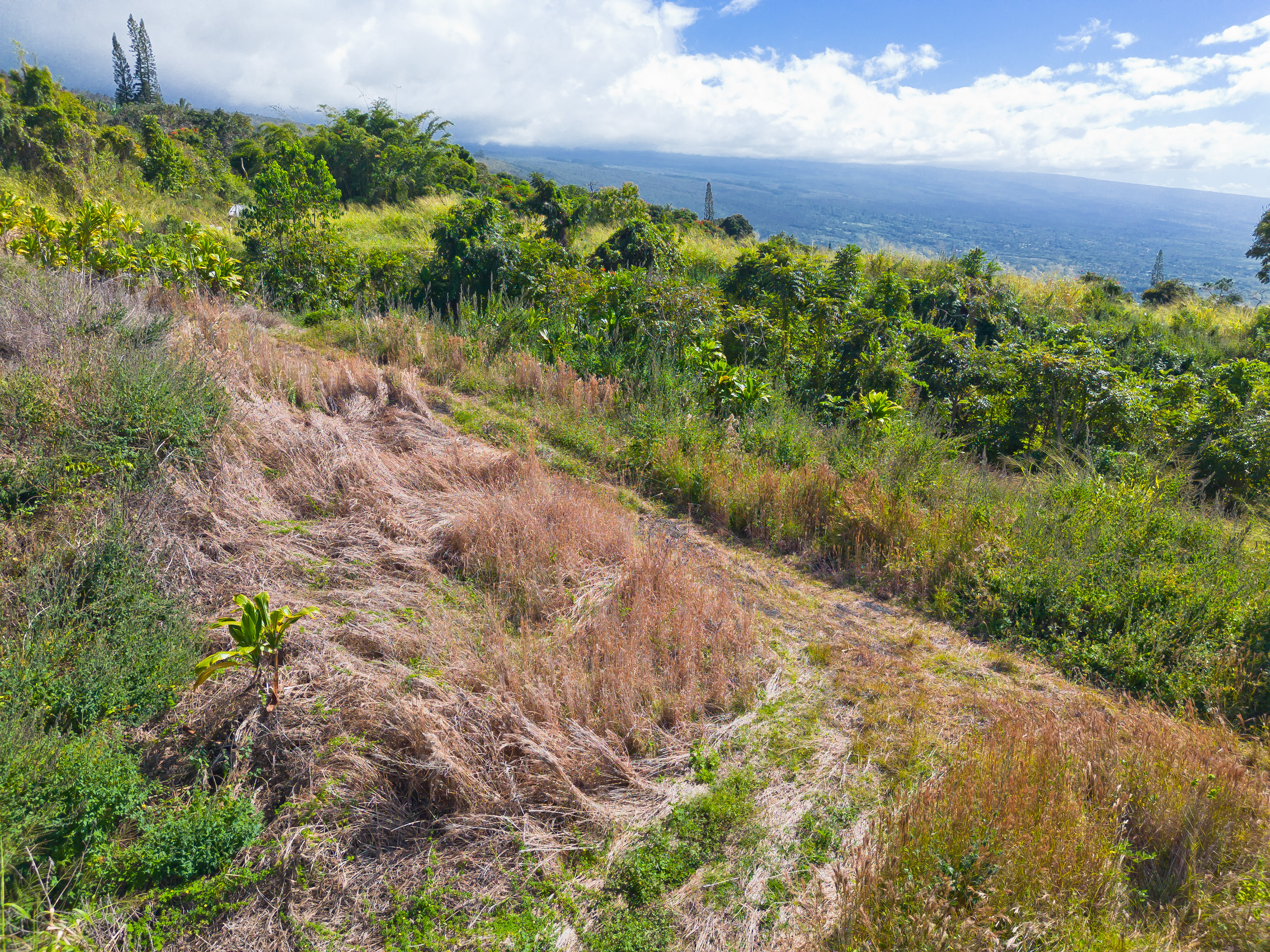 82-1088 Lot A Koa Road Captain Cook, HI 96704 - Photo 17 of 30