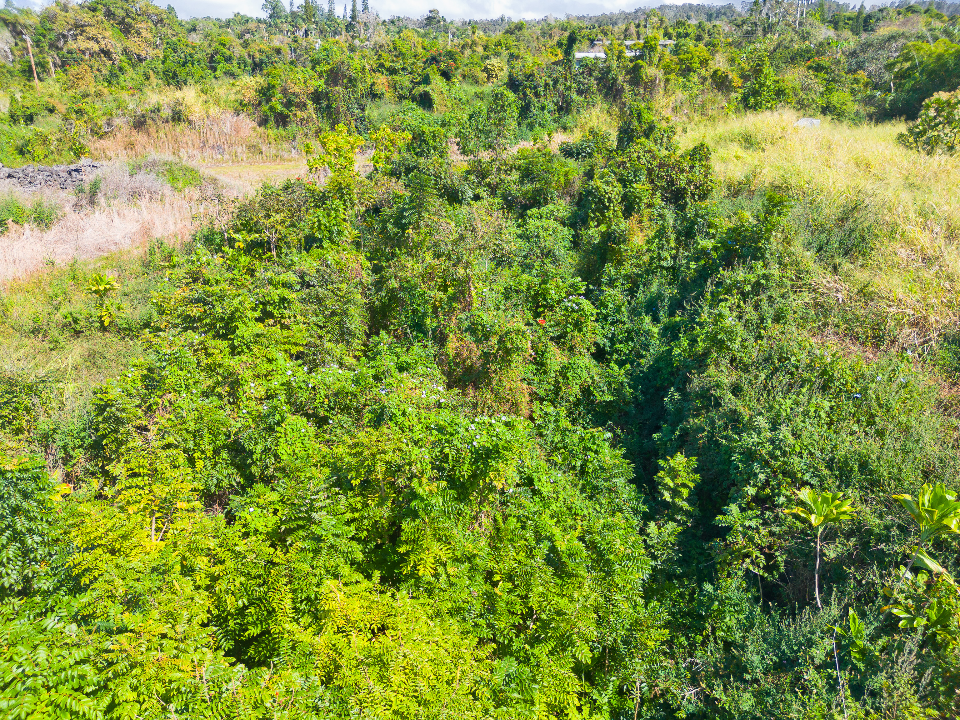 82-1088 Lot A Koa Road Captain Cook, HI 96704 - Photo 19 of 30