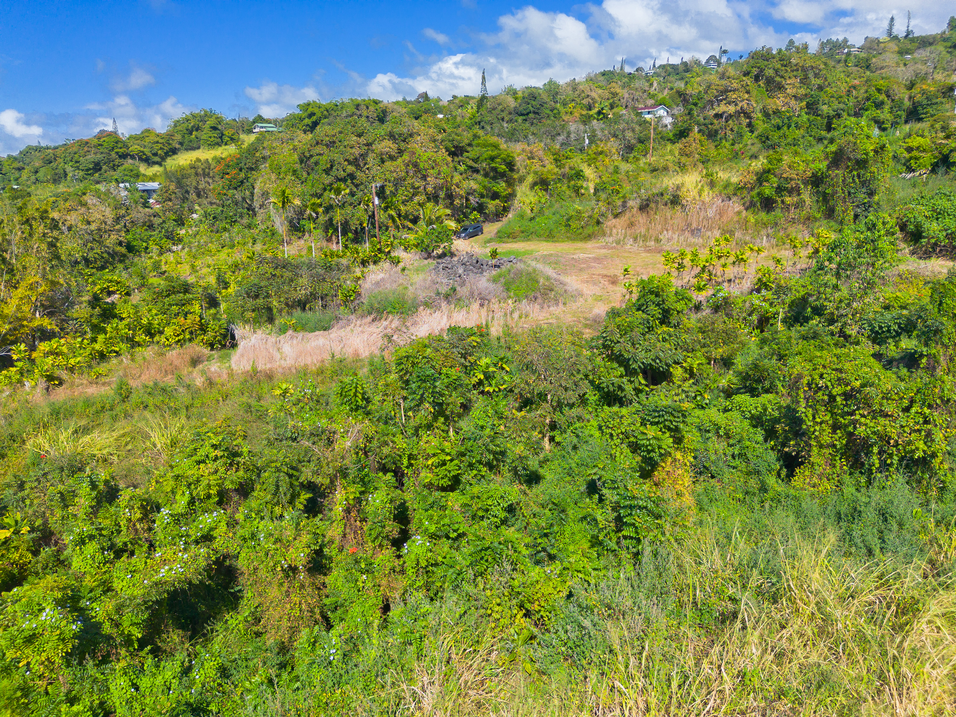 82-1088 Lot A Koa Road Captain Cook, HI 96704 - Photo 20 of 30