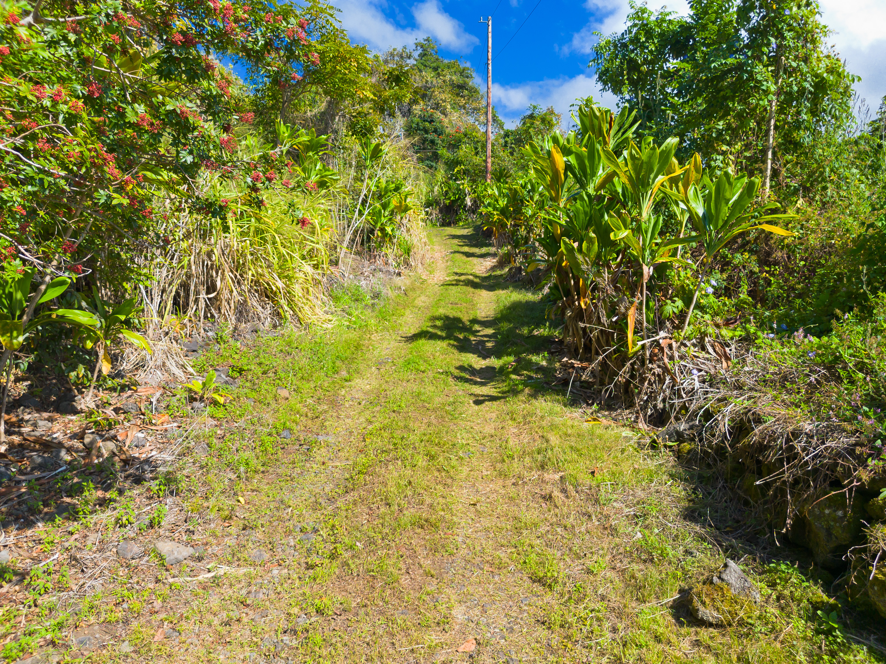 82-1088 Lot A Koa Road Captain Cook, HI 96704 - Photo 21 of 30