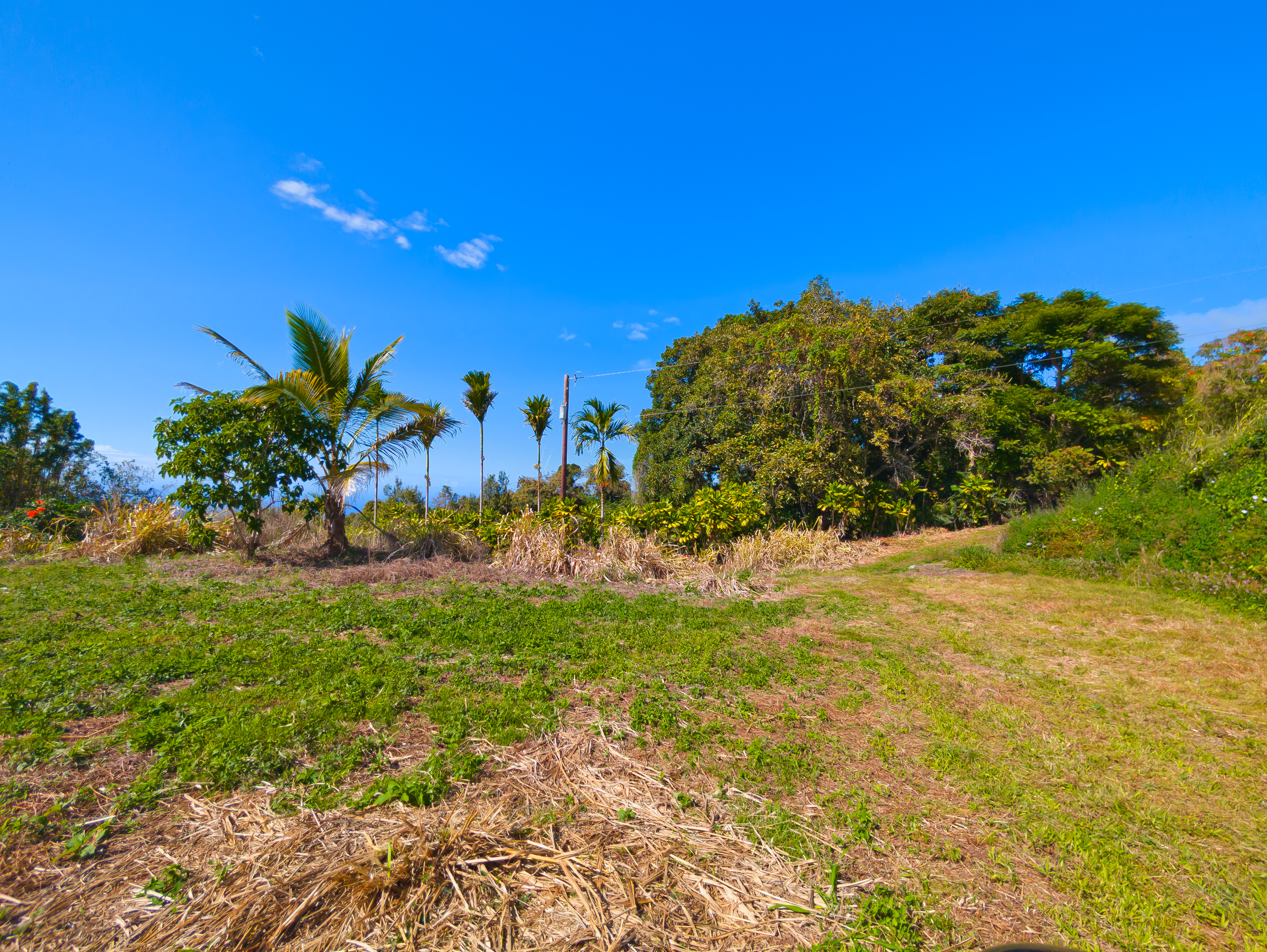 82-1088 Lot A Koa Road Captain Cook, HI 96704 - Photo 22 of 30