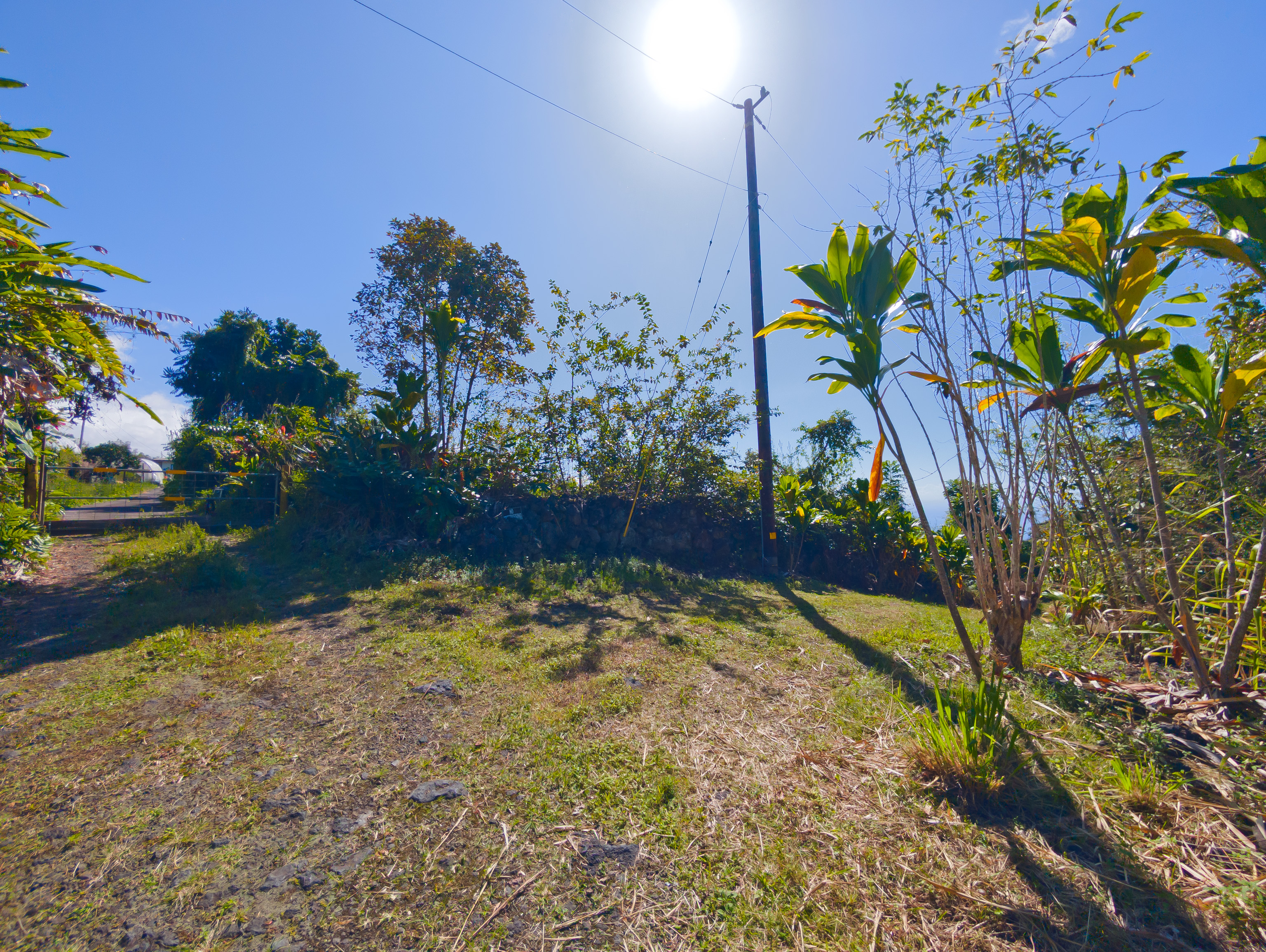 82-1088 Lot A Koa Road Captain Cook, HI 96704 - Photo 23 of 30