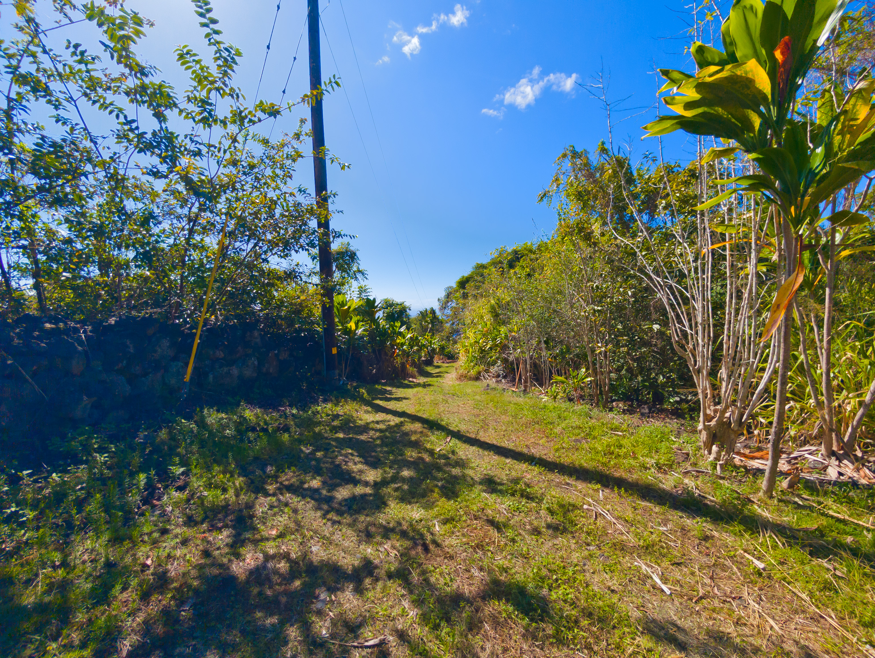 82-1088 Lot A Koa Road Captain Cook, HI 96704 - Photo 24 of 30