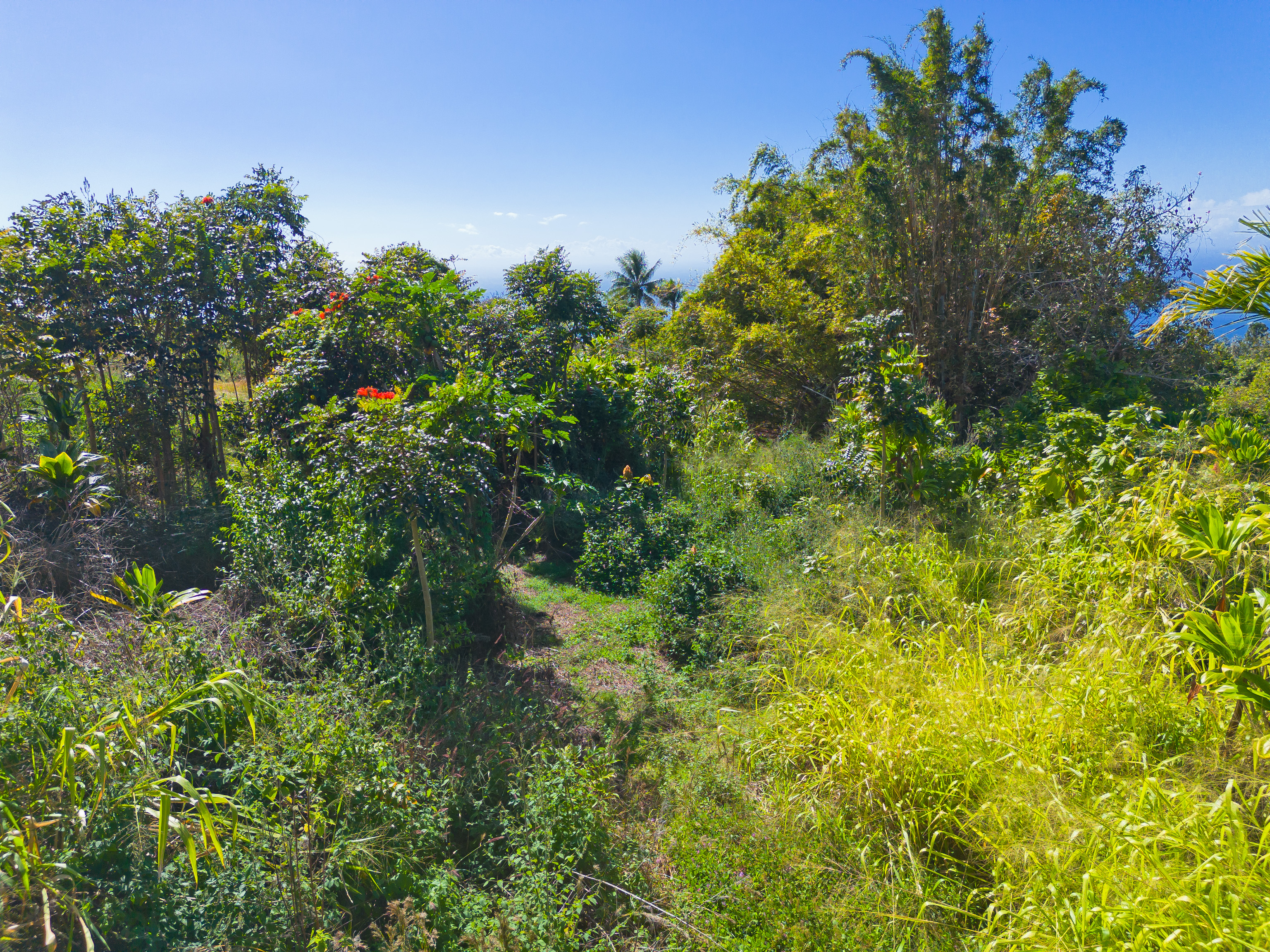 82-1088 Lot A Koa Road Captain Cook, HI 96704 - Photo 25 of 30