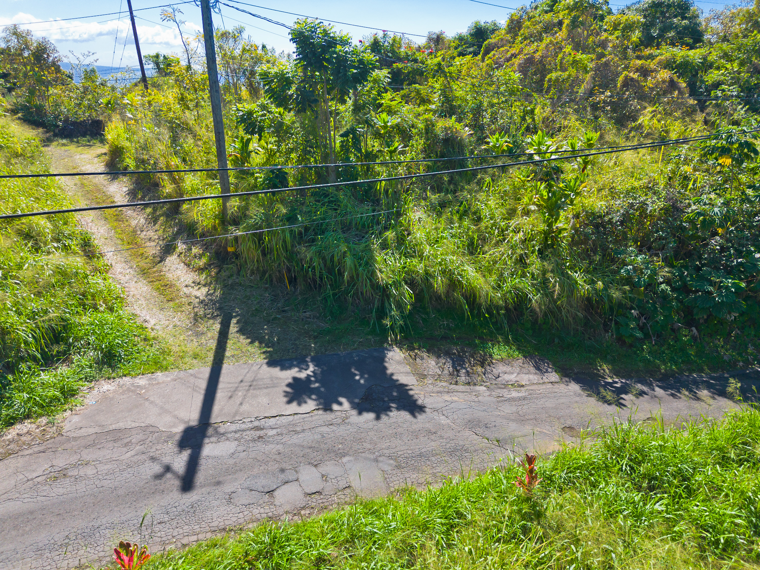 82-1088 Lot A Koa Road Captain Cook, HI 96704 - Photo 27 of 30