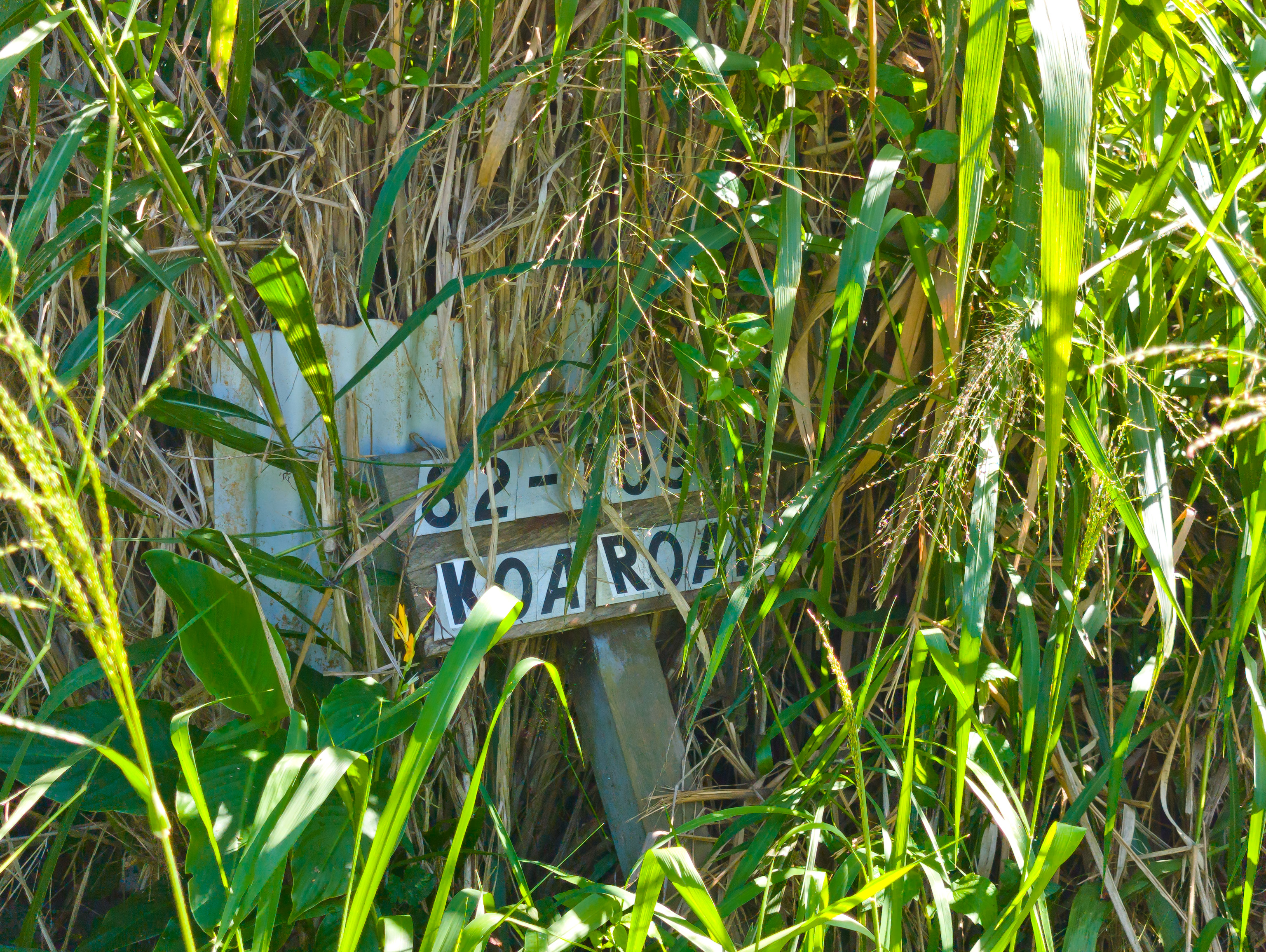 82-1088 Lot A Koa Road Captain Cook, HI 96704 - Photo 29 of 30