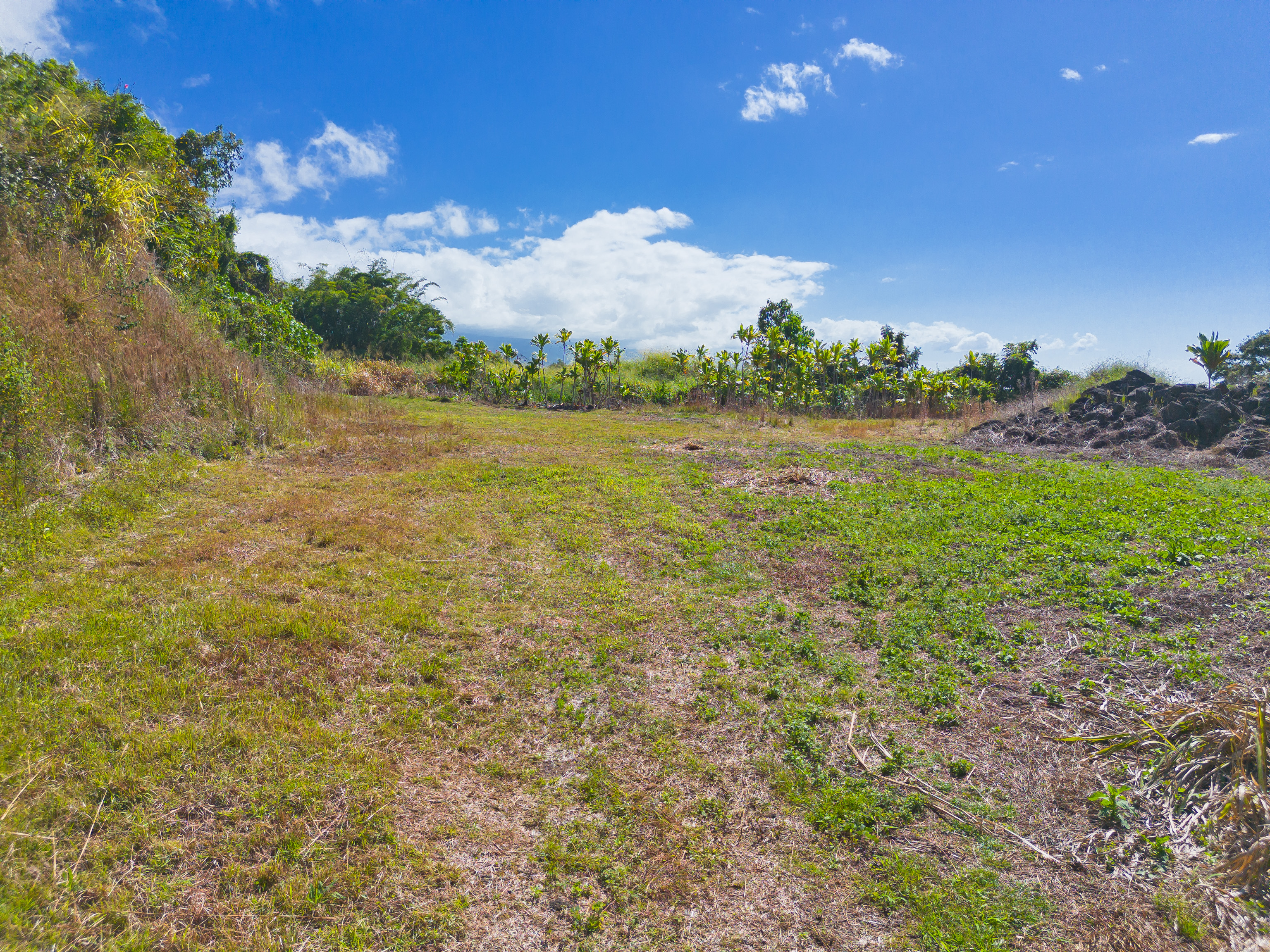 82-1088 Lot A Koa Road Captain Cook, HI 96704 - Photo 3 of 30